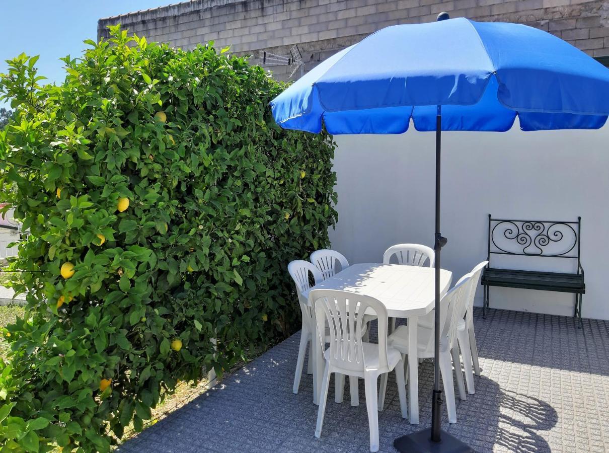 Lemon Tree House *