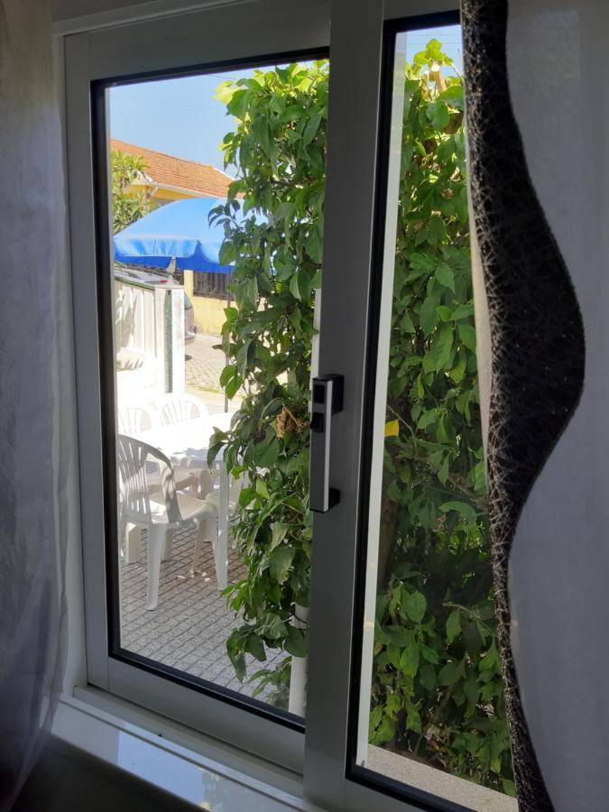Lemon Tree House *